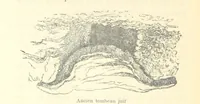 An illustration from De Paris à Jérusalem; impressions & souvenirs du VIme. Pélerinage de Pénitence (1888)