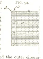 Picture 35 of 247 from A Text-book of Coal-Mining ... With ... illustrations (1892), leaf 117