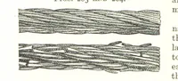 An illustration from A Text-book of Coal-Mining ... With ... illustrations (1892)