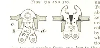 Picture 143 of 247 from A Text-book of Coal-Mining ... With ... illustrations (1892), leaf 288