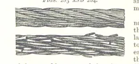 An illustration from A Text-Book of Coal-Mining ... Second edition, etc (1893)