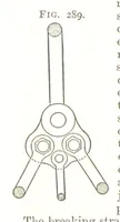Picture 131 of 255 from A Text-Book of Coal-Mining ... Second edition, etc (1893), leaf 262