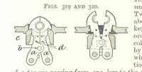 Picture 151 of 255 from A Text-Book of Coal-Mining ... Second edition, etc (1893), leaf 290