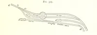 Picture 157 of 255 from A Text-Book of Coal-Mining ... Second edition, etc (1893), leaf 295