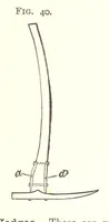 An illustration from A Text-Book of Coal-Mining ... Second edition, etc (1893)