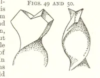 Picture 17 of 255 from A Text-Book of Coal-Mining ... Second edition, etc (1893), leaf 69