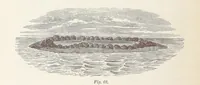 An illustration from A Class-Book of Physical Geography ... New edition, revised and largely rewritten by R. A. Gregory (1899)