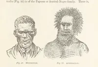 Picture 90 of 92 from A Class-Book of Physical Geography ... New edition, revised and largely rewritten by R. A. Gregory (1899), leaf 331
