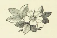 An illustration from Lord Hever. A novel (1896)