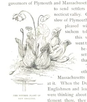 Picture 21 of 66 from How New England was made, etc (1890), leaf 100
