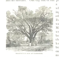 Picture 60 of 66 from How New England was made, etc (1890), leaf 252