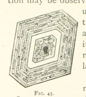 Picture 37 of 61 from The Determination of Rockforming Minerals ... Authorized translation from the first German edition by Erastus G. Smith ... Second edition (1893), leaf 102