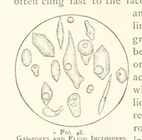 An illustration from The Determination of Rockforming Minerals ... Authorized translation from the first German edition by Erastus G. Smith ... Second edition (1893)