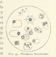 An illustration from The Determination of Rockforming Minerals ... Authorized translation from the first German edition by Erastus G. Smith ... Second edition (1893)