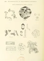 Picture 45 of 61 from The Determination of Rockforming Minerals ... Authorized translation from the first German edition by Erastus G. Smith ... Second edition (1893), leaf 232