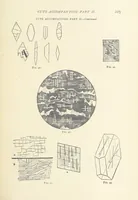 Picture 50 of 61 from The Determination of Rockforming Minerals ... Authorized translation from the first German edition by Erastus G. Smith ... Second edition (1893), leaf 237