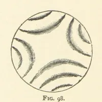 An illustration from The Determination of Rockforming Minerals ... Authorized translation from the first German edition by Erastus G. Smith ... Second edition (1893)