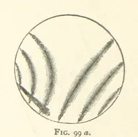An illustration from The Determination of Rockforming Minerals ... Authorized translation from the first German edition by Erastus G. Smith ... Second edition (1893)