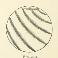 An illustration from The Determination of Rockforming Minerals ... Authorized translation from the first German edition by Erastus G. Smith ... Second edition (1893)