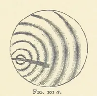An illustration from The Determination of Rockforming Minerals ... Authorized translation from the first German edition by Erastus G. Smith ... Second edition (1893)
