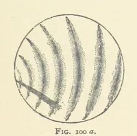 An illustration from The Determination of Rockforming Minerals ... Authorized translation from the first German edition by Erastus G. Smith ... Second edition (1893)