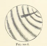 An illustration from The Determination of Rockforming Minerals ... Authorized translation from the first German edition by Erastus G. Smith ... Second edition (1893)