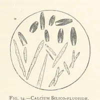 Picture 27 of 61 from The Determination of Rockforming Minerals ... Authorized translation from the first German edition by Erastus G. Smith ... Second edition (1893), leaf 69