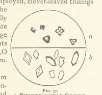 Picture 31 of 61 from The Determination of Rockforming Minerals ... Authorized translation from the first German edition by Erastus G. Smith ... Second edition (1893), leaf 73