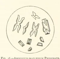 Picture 33 of 61 from The Determination of Rockforming Minerals ... Authorized translation from the first German edition by Erastus G. Smith ... Second edition (1893), leaf 74