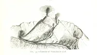 An illustration from Physiography ... New edition (1884)
