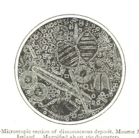 An illustration from Physiography ... New edition (1884)