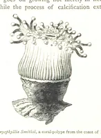 An illustration from Physiography ... New edition (1884)
