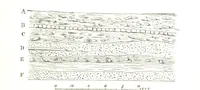 An illustration from Physiography ... New edition (1884)