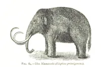An illustration from Physiography ... New edition (1884)