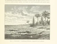 An illustration from Bruxelles à travers les àges. (Troisième volume ... par H. Hymans, P. Hymans.) (1882)
