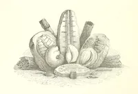 An illustration from Bruxelles à travers les àges. (Troisième volume ... par H. Hymans, P. Hymans.) (1882)