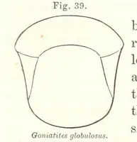 Picture 38 of 88 from Geological Survey of Illinois. A. H. Worthen, Director (1866), leaf 421