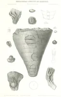Picture 58 of 88 from Geological Survey of Illinois. A. H. Worthen, Director (1866), leaf 589