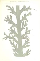 Picture 18 of 32 from Geological Survey of Illinois. A. H. Worthen, Director (1866), leaf 601
