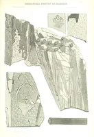 Picture 23 of 32 from Geological Survey of Illinois. A. H. Worthen, Director (1866), leaf 621