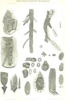 Picture 32 of 32 from Geological Survey of Illinois. A. H. Worthen, Director (1866), leaf 657