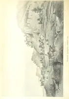An illustration from Geological Survey of Illinois. A. H. Worthen, Director (1866)