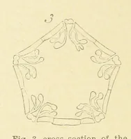Picture 14 of 45 from Geological Survey of Illinois. A. H. Worthen, Director (1866), leaf 368