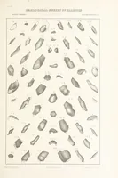 Picture 18 of 45 from Geological Survey of Illinois. A. H. Worthen, Director (1866), leaf 399