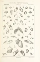 Picture 21 of 45 from Geological Survey of Illinois. A. H. Worthen, Director (1866), leaf 411