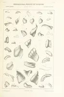 Picture 23 of 45 from Geological Survey of Illinois. A. H. Worthen, Director (1866), leaf 419
