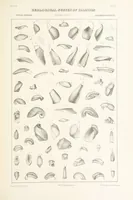 Picture 25 of 45 from Geological Survey of Illinois. A. H. Worthen, Director (1866), leaf 427