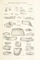 Picture 28 of 45 from Geological Survey of Illinois. A. H. Worthen, Director (1866), leaf 439