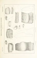 Picture 29 of 45 from Geological Survey of Illinois. A. H. Worthen, Director (1866), leaf 443