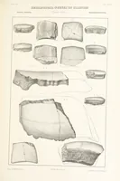 Picture 30 of 45 from Geological Survey of Illinois. A. H. Worthen, Director (1866), leaf 447
